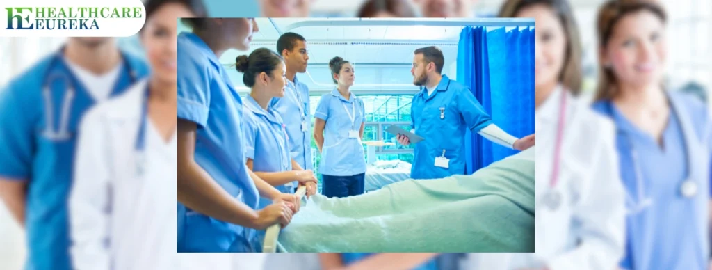 article cover image for the article Resolving the Absence of Training and Education in Nursing Leadership